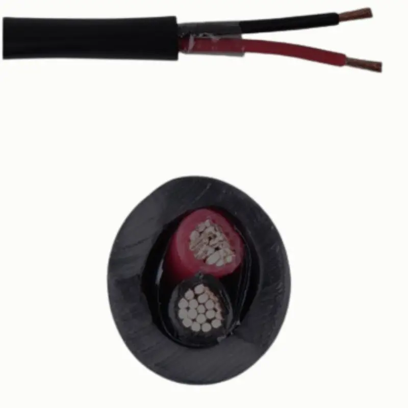 100Ft Black 16 Awg Dual-Conductor Speaker Wire – Direct Burial Rated 1