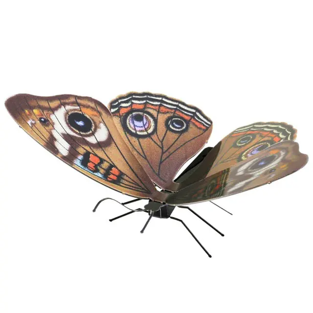 Buckeye Butterfly 3D Metal Model Kit – Precision Laser-Cut Display Model 1
