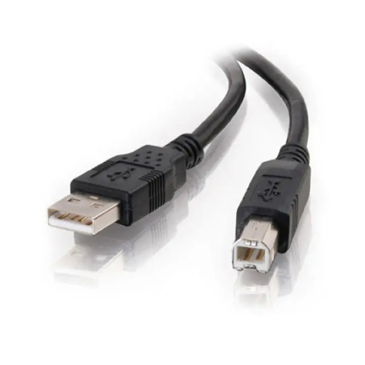 Cusb2-Ab01Bk Usb 2.0 A-To-B Cable – Black, 1-Foot Length, Male-To-Male Configuration 1