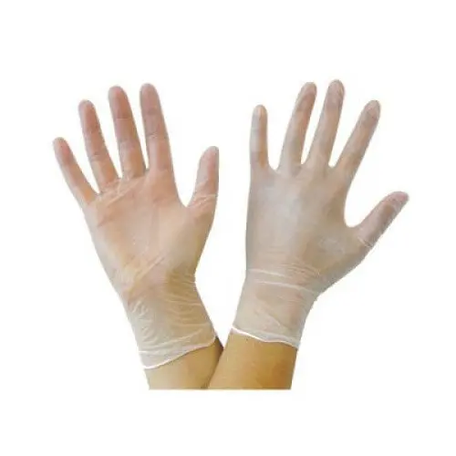 F10001750B: Powder-Free Vinyl Exam Gloves — Large Size, Clear, 100-Count Box 1
