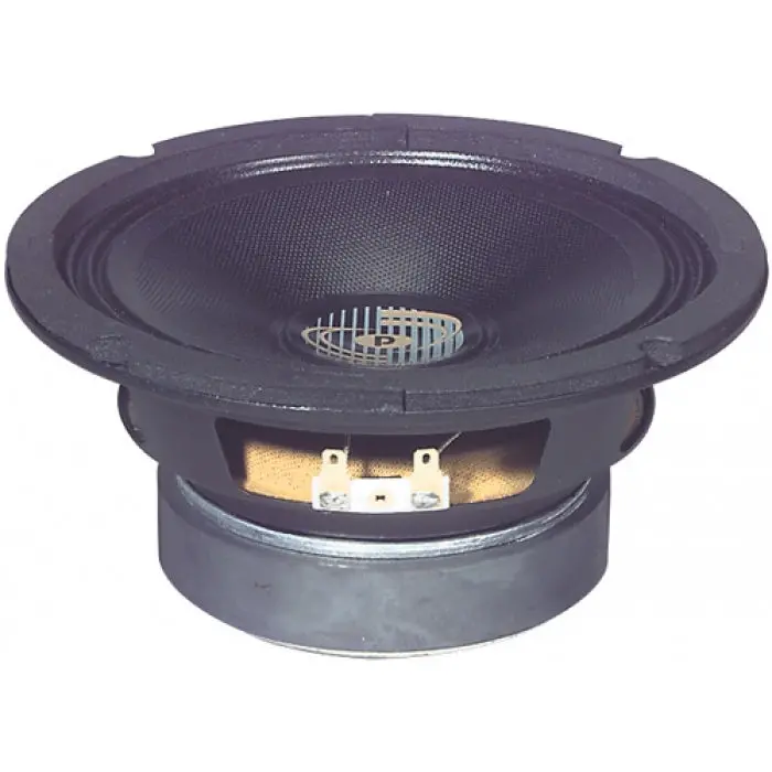 Ppa10 10-Inch Woofer – 8-Ohm, 200W Rms, 600W Peak, 89.2 Db Sensitivity, Black Chassis 1