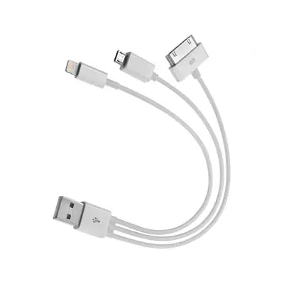 White Usb Cable – A-Male To Micro/30-Pin/8-Pin Connector 1