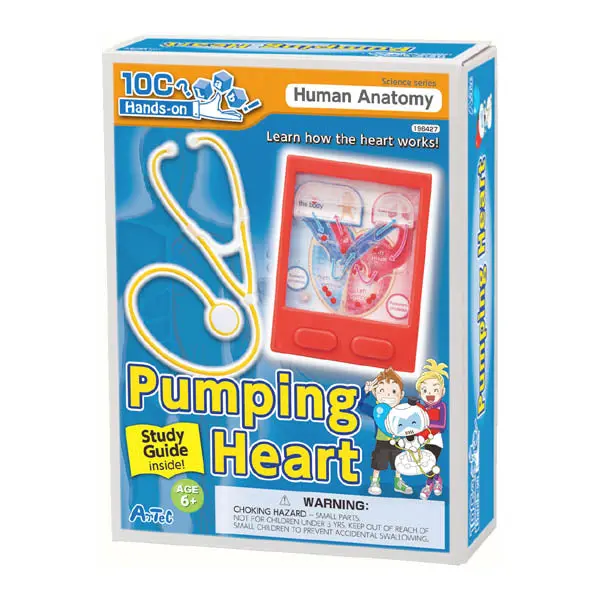 Working Pumping Heart Model With Instructional Guidebook 1