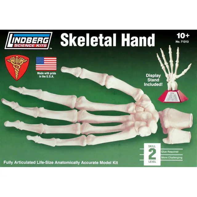 Zm71313 Life-Size Unassembled Skeletal Hand Model — Lindberg Anatomy Education Kit 1